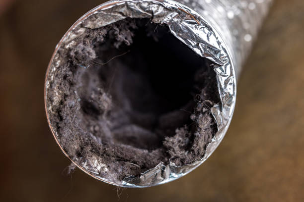 Air Duct Mold Removal in West Falmouth, MA